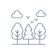 Illustration Wald – Natur als Lernraum für Teamwanderungen, Führungskräfte-Entwicklung und Life Coaching