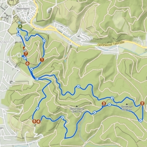 Wanderroute durch den Schlosspark Weinheim und Exotenwald – ca. 9 km Strecke der Netzwerk- und Sparring-Wanderung für Führungskräfte