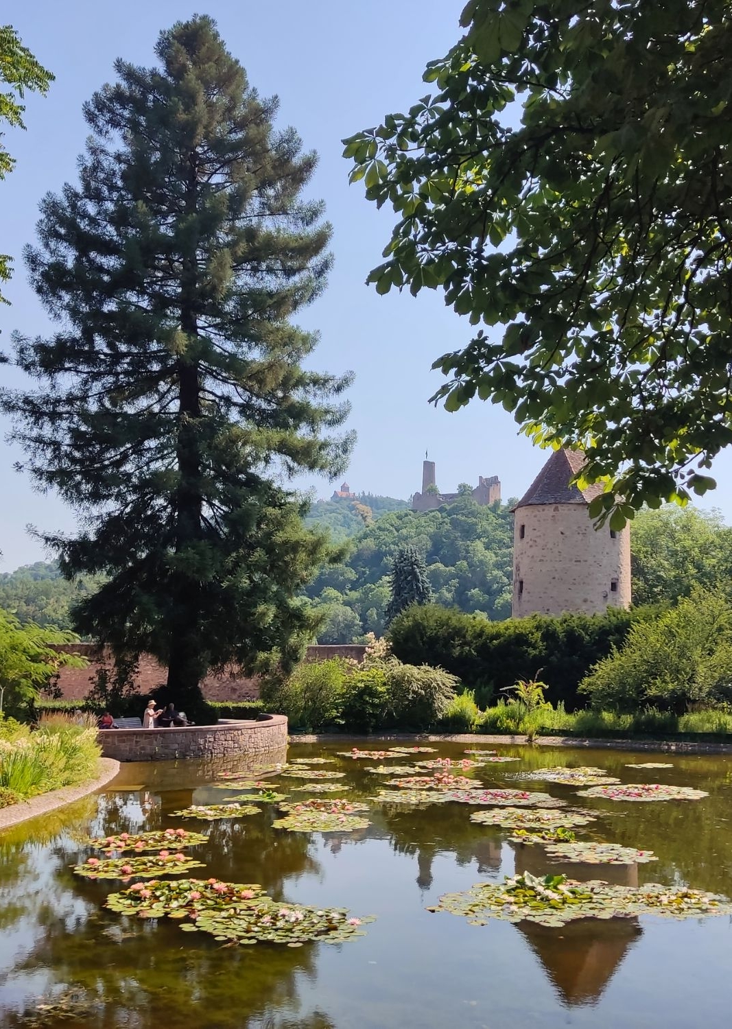 Schlosspark Weinheim mit Blick auf die Burgruine Windeck – Naturraum für Wandercoaching und persönliche Entwicklung im Exotenwald. Für Privatpersonen, Führungskräfte und Unternehmer:innen