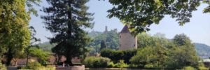 Schlosspark Weinheim mit Seerosenteich, historischem Turm und Blick auf die Burgruine Windeck – Naturraum für Wandercoaching und persönliche Entwicklung im Exotenwald. Für Privatpersonen, Führungskräfte und Unternehmer:innen
